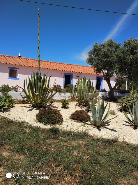 Typiskt Lanthus (Monte) Aljezur, Algarve, Portugal övervintra Semester i Aljezur, Algarve, Portugal, Costa Vicentina